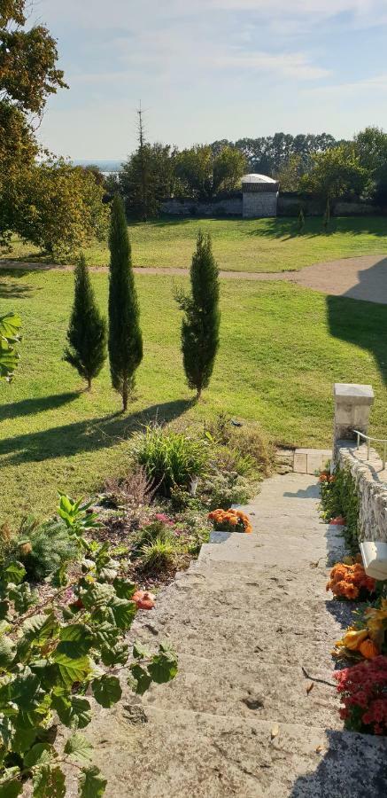 Domaine De Bourgville Monts-sur-Guesnes Екстер'єр фото