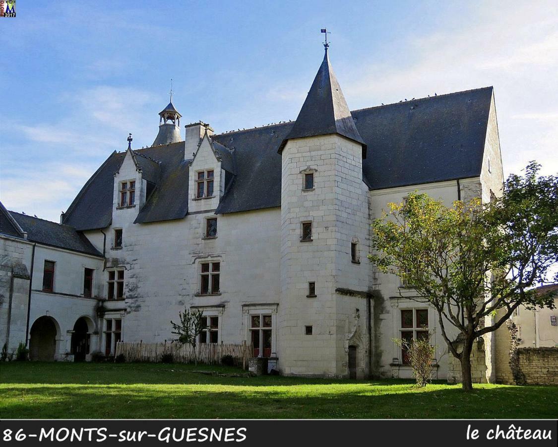 Domaine De Bourgville Monts-sur-Guesnes Екстер'єр фото